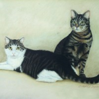 portrait of two cats
