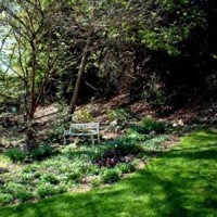 The woodland garden in spring.