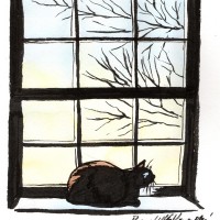 ink drawing with watercolor of cat on windowsill