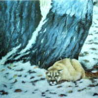 pastel painting of cougar