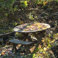 picnic table in autumn yard