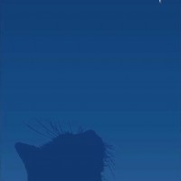 holiday card cat looking at star