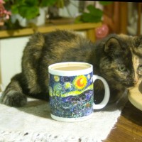 tortoiseshell cat with cup of coffee