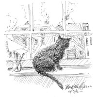 ink sketch of black on windowsill
