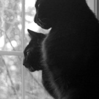 121310-MimiSunshineBirdwatching