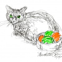 cat with bowl of fruit