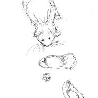 sketch of cat, slippers and cat toy