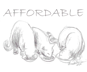 purchase original art and prints of cat sketches and paintings.