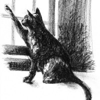charcoal sketch of black cat at window