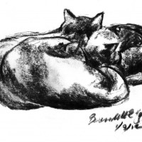 010912-ConfusingCuddlePuddle