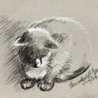 sketch of cat on gray paper