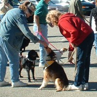 people and dogs