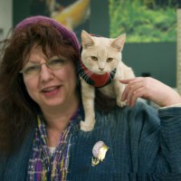 person and orange cat