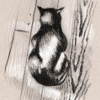 sketch of black cat on floor