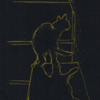 sketch of cat on black paper