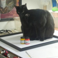 two black cats in picture frame