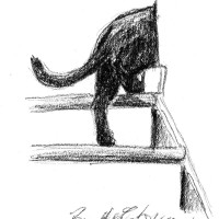 charcoal sketch of cat going up steps