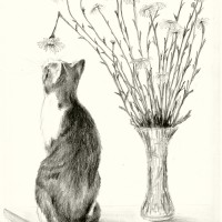 pencil portrait of cat with daisies