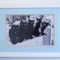 framed photo of five black cats.