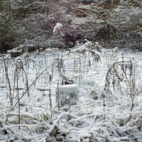 photo of garden and yard under snow