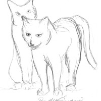 pencil sketch of two cats