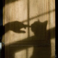 shadow of cat on door