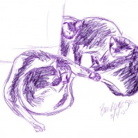 colored pencil sketch of four cats