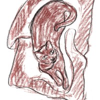 pastel sketch of cat