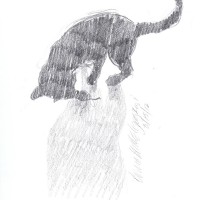 031512-KellySilhouette
