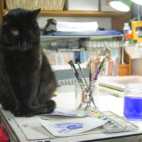 black cat with watercolors