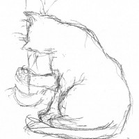 charcoal sketch of cat with toy