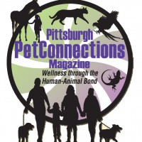 Pittsburgh PetConnections Magazine logo