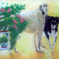 pastel portrait of two borzois