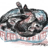 pastel sketch of three cats in a bed