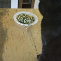 black cat with beans and greens