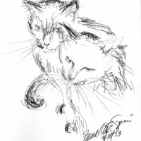 charcoal pencil sketch of two cats