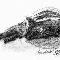 charcoal sketch of black cat sleeping