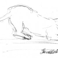 charcoal sketch of cat