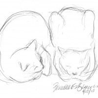 pencil sketch of two cats
