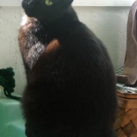 042812-BeanSink