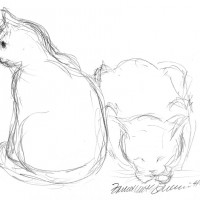 pencil sketch of two cats