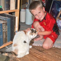 little boy with calico cat