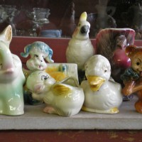 The Menagerie © Bernadette E. Kazmarski