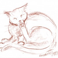 conte sketch of cat cleaning toes