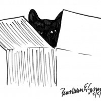 "Box With Cat", brush marker, 5" x 8" © Bernadette E. Kazmarski