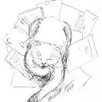 ink sketch of cat sleeping