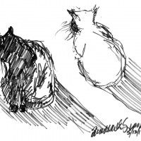 marker sketch of two cats in sun