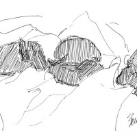 ink sketch of four cats on bed