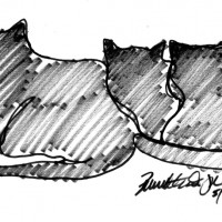 marker sketch of three cats