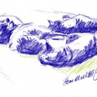 pastel sketch of cats sleeping